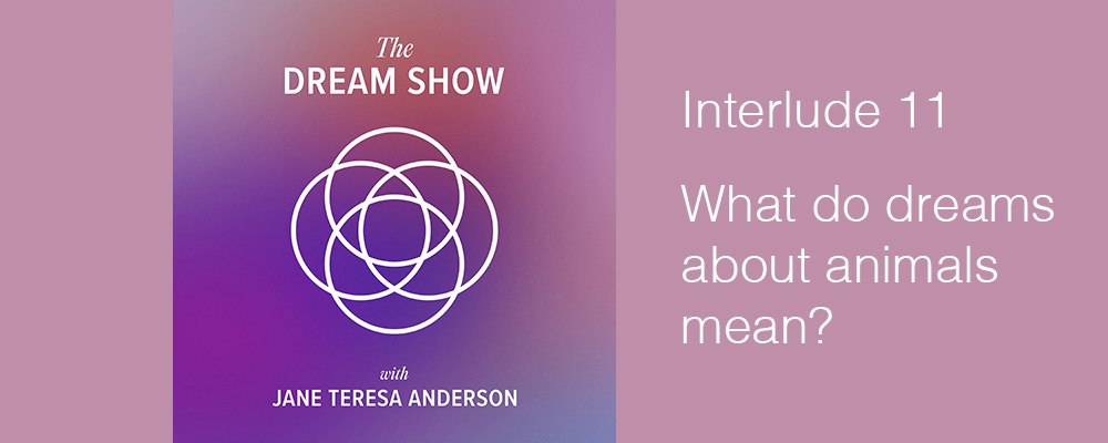 Interlude 11 The Dream Show Jane Teresa Anderson