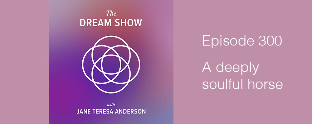 Episode 300 The Dream Show Jane Teresa Anderson