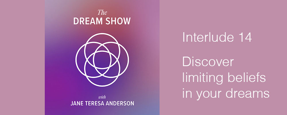Interlude 14 The Dream Show Jane Teresa Anderson
