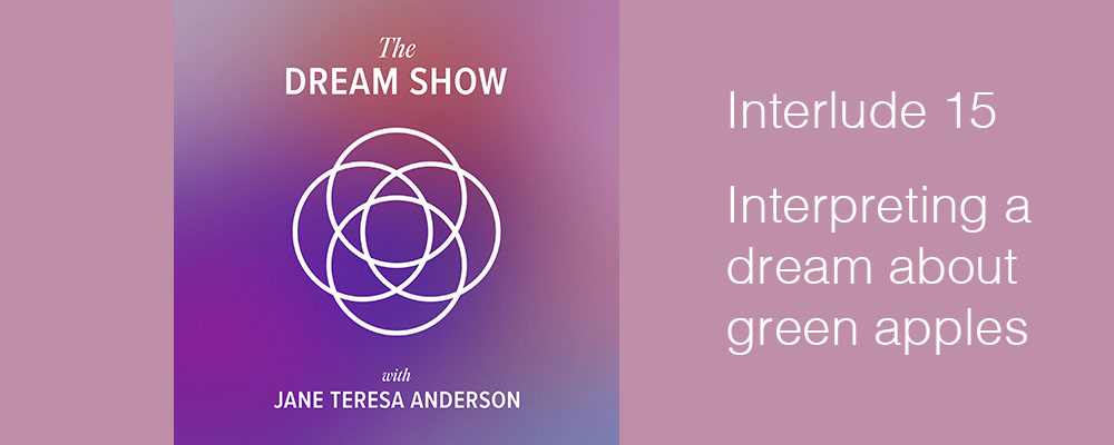 Interlude 15The Dream Show Jane Teresa Anderson