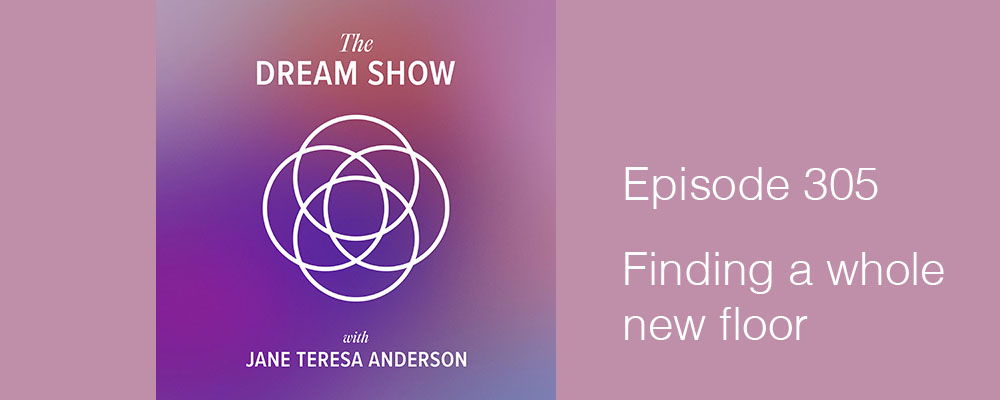 Episode 305 The Dream Show Jane Teresa Anderson