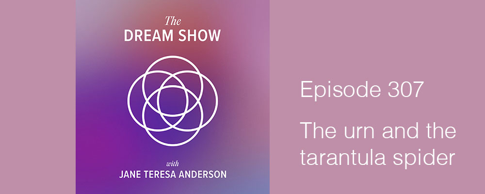 Episode 307 The Dream Show Jane Teresa Anderson