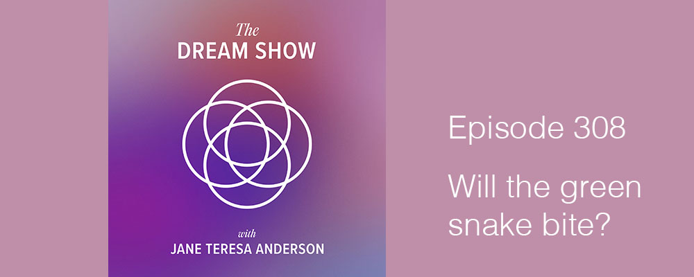 Episode 308 The Dream Show Jane Teresa Anderson