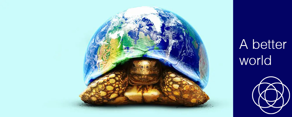 A better world Jane Teresa Anderson
