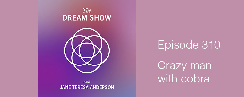 Episode 310 The Dream Show Jane Teresa Anderson
