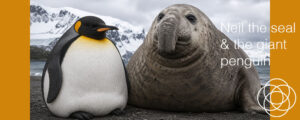 Neil the seal and the giant penguin Jane Teresa Anderson