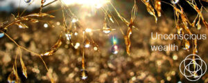 Unconscious wealth Jane Teresa Anderson