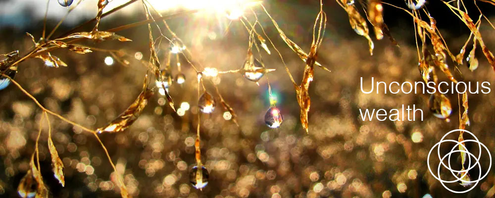 Unconscious wealth Jane Teresa Anderson